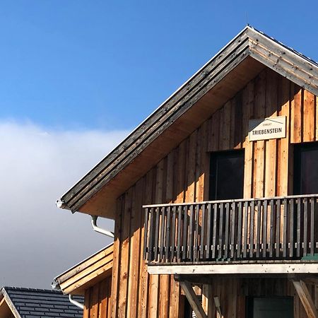 Chalet Triebenstein Hohentauern Exterior foto